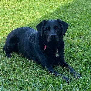 Meet your Posher, Drew